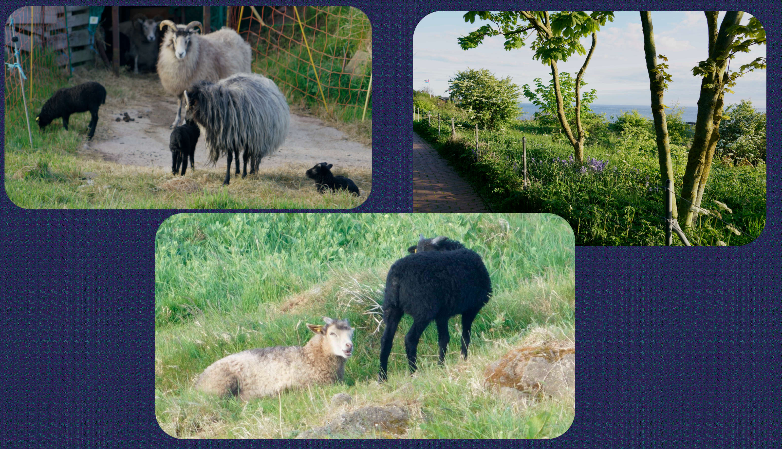 Helgoland